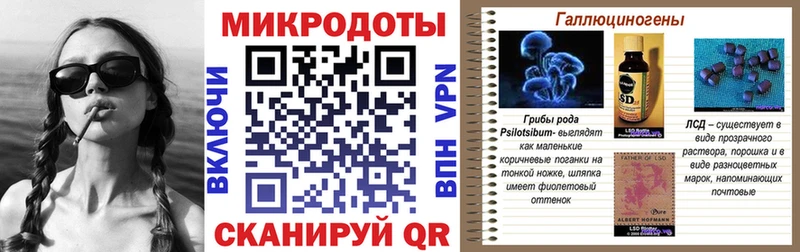 Купить где  Ирбит  Галлюциногенные грибы Psilocybe 